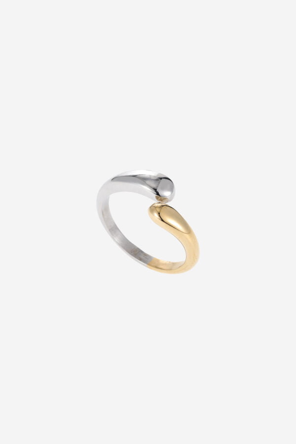 Two-Tone-Ring (1)